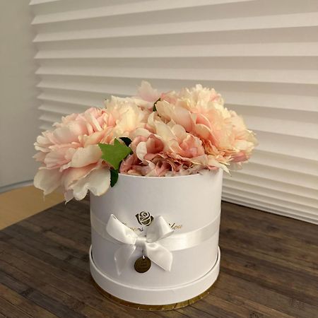 나폴리 Casa Di Vincenzo B&B 외부 사진